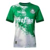 Officiële Voetbalshirt Palmeiras Special 2024 Witte - Heren